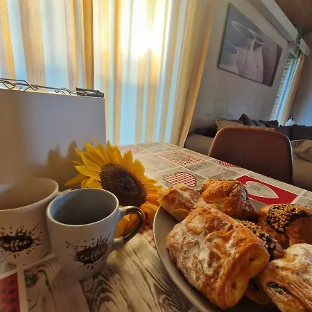 シャレー Bulle Ivoire *