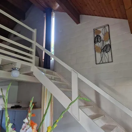 Bulle Ivoire シャレー